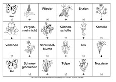 Domino-Frühlingsblüten-2-SW.pdf